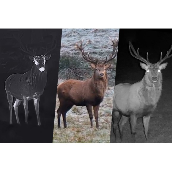 Binoculares térmicos multiespectro Hikmicro Habrok 4K HE25L 2.0 con telémetro + IR 850 940nm