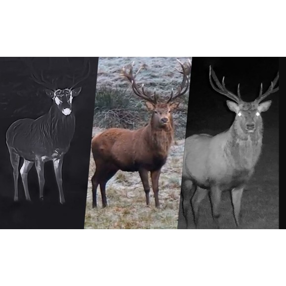 Binoculares térmicos multiespectro con telémetro + IR 850 940 nm Hikmicro Habrok 4K HE25L 2.0