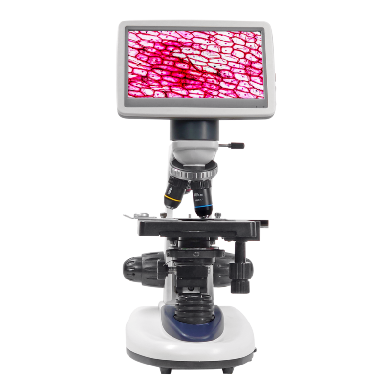 Microscopio BMS 146 FLArQ LED 230V...