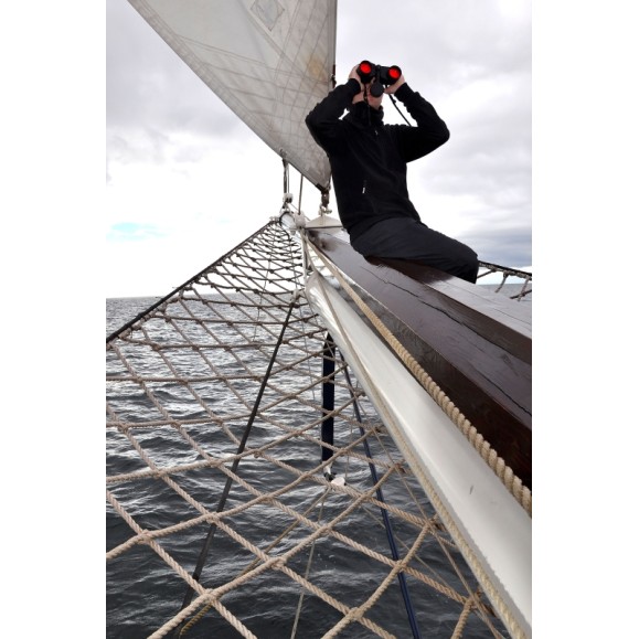 Prismáticos BRESSER Nautic 7x50 WD con Brújula