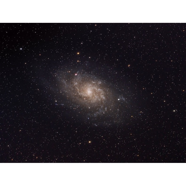 Telescopio Astrógrafo Celestron...